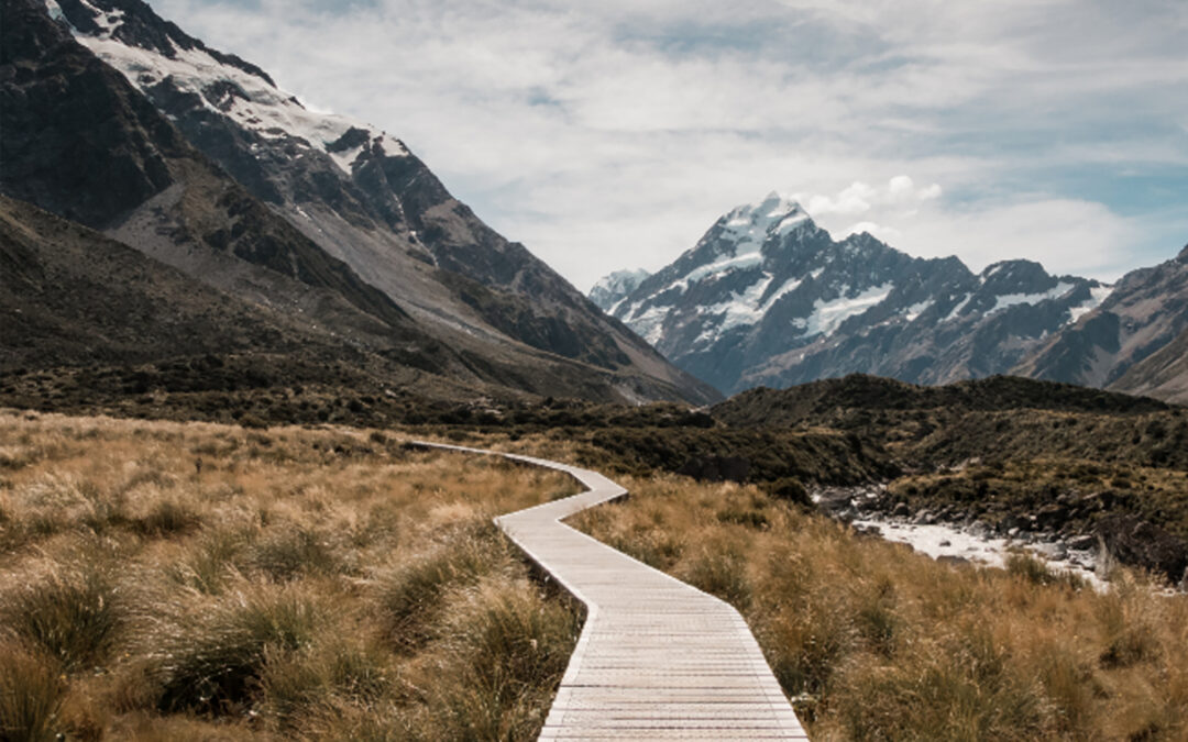 Fractional CFO and Controller Services: A Smarter Path to Growth